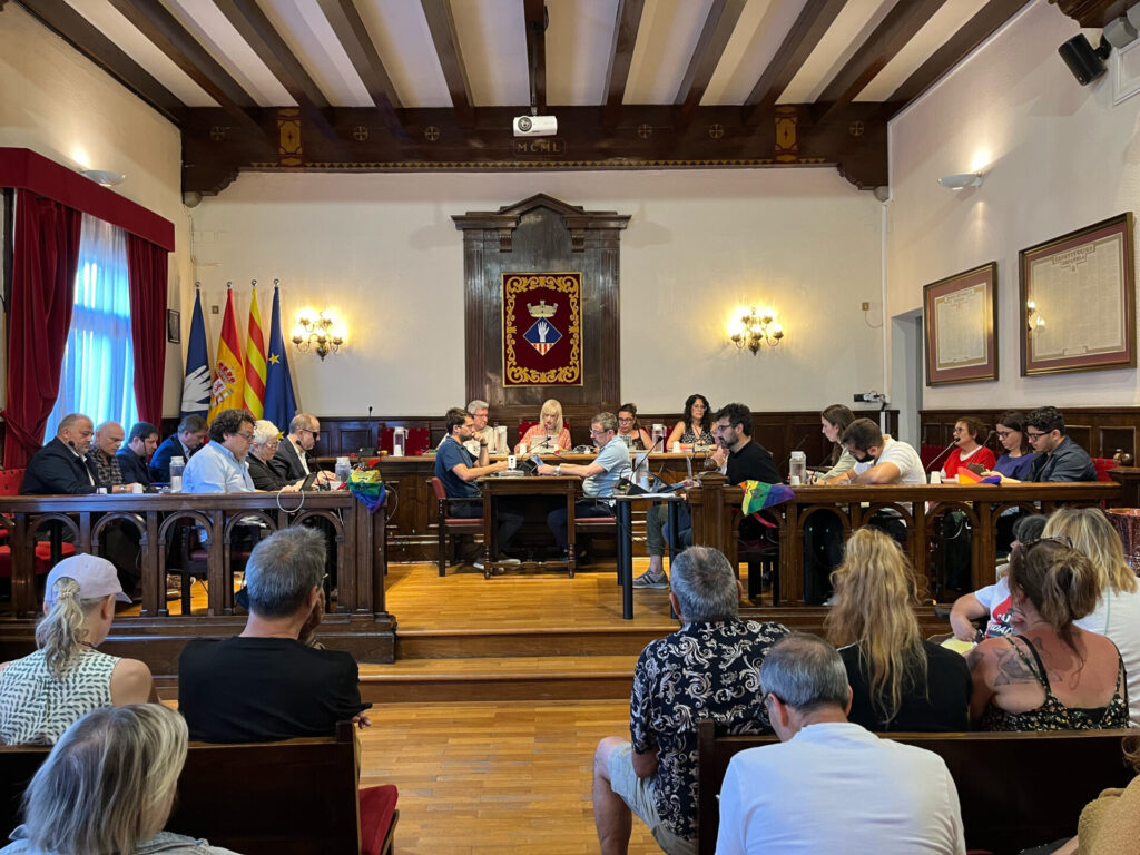 Ple Municipal Esplugues